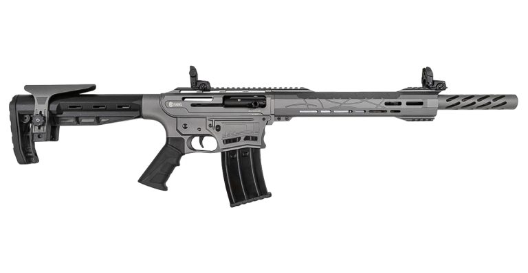 Citadel boss 25 firearms